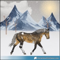 Horse Color:White Spotted Silver Buckskin Tobiano 