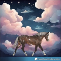 Horse Color:White Spotted Silver Brown Splash Tobiano Rabicano