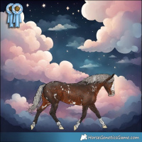 Horse Color:White Spotted Silver Brown Splash Tobiano Rabicano