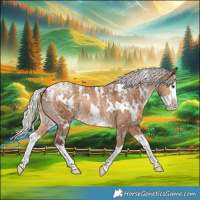 Horse Color:Powder White White Spotted Silver Brown Dun Splash 