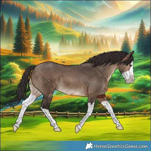 Horse Color:Brown Dun Splash