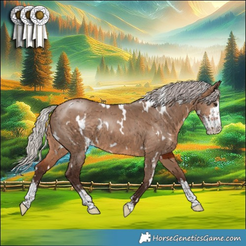 Horse Color:White Spotted Silver Brown Dun Sabino