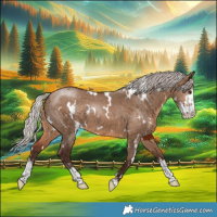 Horse Color:White Spotted Silver Brown Dun Sabino