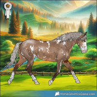 Horse Color:White Spotted Silver Brown Dun Sabino 