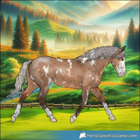 Horse Color:White Spotted Silver Brown Dun Sabino 