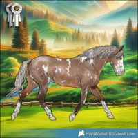 Horse Color:White Spotted Silver Brown Dun Sabino 