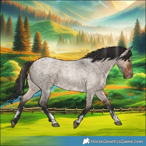 Horse Color:Powder White Brown Roan Dun 