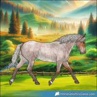 Horse Color:Silver Bay Roan Rabicano