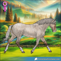 Horse Color:Powder White Silver Brown Roan Dun 