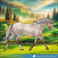 Horse Color:Powder White Silver Bay Roan Dun