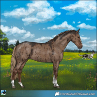 Horse Color:Liver Red Dun Tobiano Rabicano Brindle