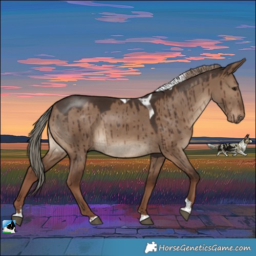 Horse Color:Liver Red Dun Tobiano Rabicano Brindle