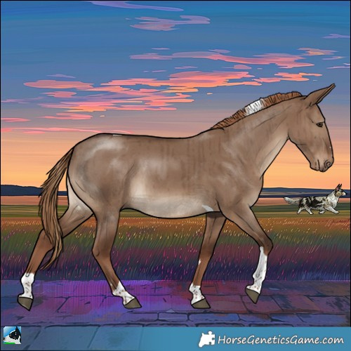 Horse Color:Liver Red Dun Tobiano Rabicano Brindle