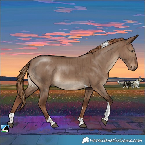 Horse Color:Liver Red Dun Tobiano Rabicano Brindle 