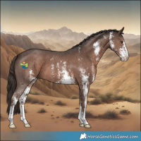 Horse Color:Liver Chestnut Sabino 