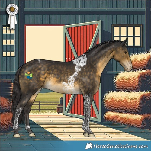 Horse Color:Buckskin Tobiano Appaloosa 