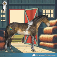 Horse Color:Buckskin Tobiano Varnish 