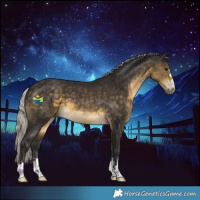 Horse Color:Silver Buckskin 
