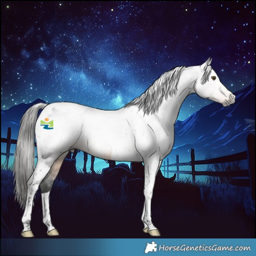 Horse Color:Gray Buckskin Tobiano Rabicano 