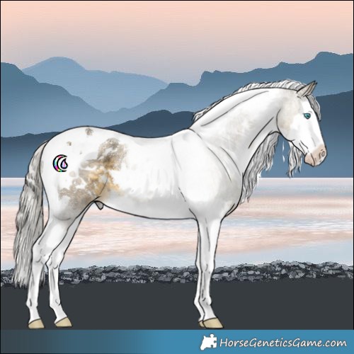 Horse Color:White Spotted Silver Buckskin Dun Splash Tobiano