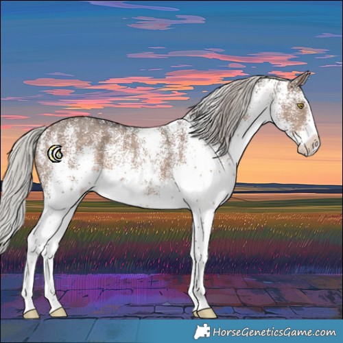 Horse Color:White Spotted Silver Brown Dun Splash