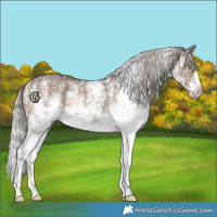 Horse Color:White Spotted Silver Brown Dun Splash