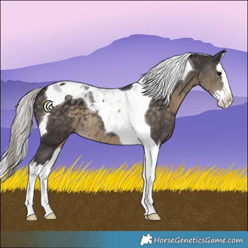 Horse Color:Silver Smoky Black Splash Tobiano 