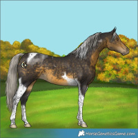 Horse Color:Silver Buckskin Tobiano 