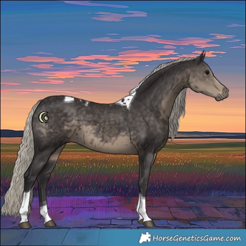 Horse Color:Silver Smoky Black Tobiano 