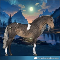 Horse Color:Silver Smoky Black Tobiano