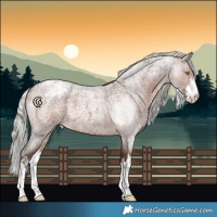 Horse Color:White Spotted Silver Brown Roan Varnish