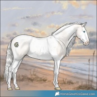 Horse Color:Silver Perlino Roan Dun Splash Tobiano Rabicano