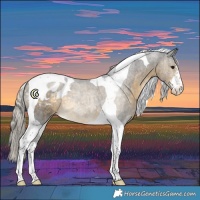Horse Color:White Spotted Silver Buckskin Tobiano Blanket 