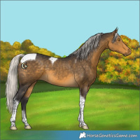 Horse Color:Silver Buckskin Tobiano