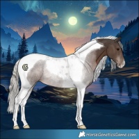 Horse Color:Silver Black Tobiano 