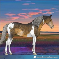 Horse Color:Silver Buckskin Tobiano 