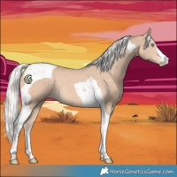 Horse Color:Silver Smoky Creme Tobiano 