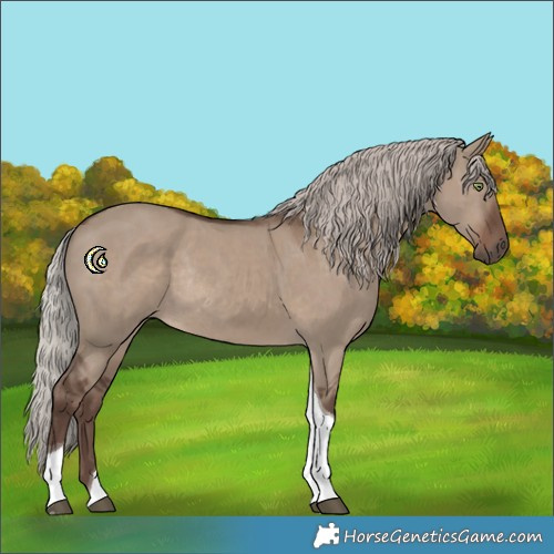 Horse Color:Silver Grullo Tobiano Rabicano 