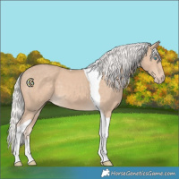 Horse Color:Silver Smoky Creme Tobiano