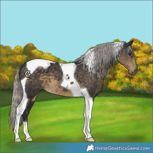 Horse Color:Silver Smoky Black Tobiano