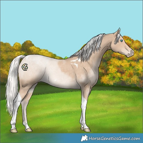Horse Color:Silver Smoky Creme Tobiano 