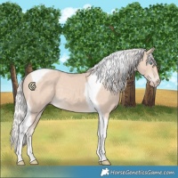 Horse Color:Silver Smoky Creme Tobiano 