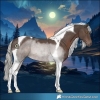 Horse Color:Silver Black Tobiano 
