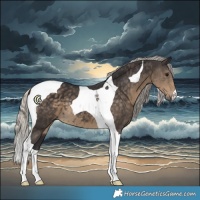 Horse Color:Silver Smoky Black Tobiano 