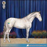 Horse Color:Liver Red Dun Pearl Mushroom Sabino Varnish