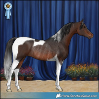 Horse Color:Brown Tobiano Rabicano 