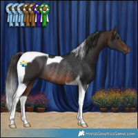 Horse Color:Brown Tobiano Rabicano 