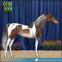 Horse Color:Bay Tobiano Rabicano 