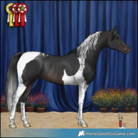 Horse Color:Brown Tobiano Rabicano
