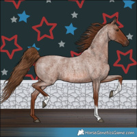 Horse Color:Red Roan Tobiano 